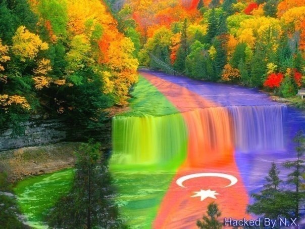 Андрей Тимофеев | Баку