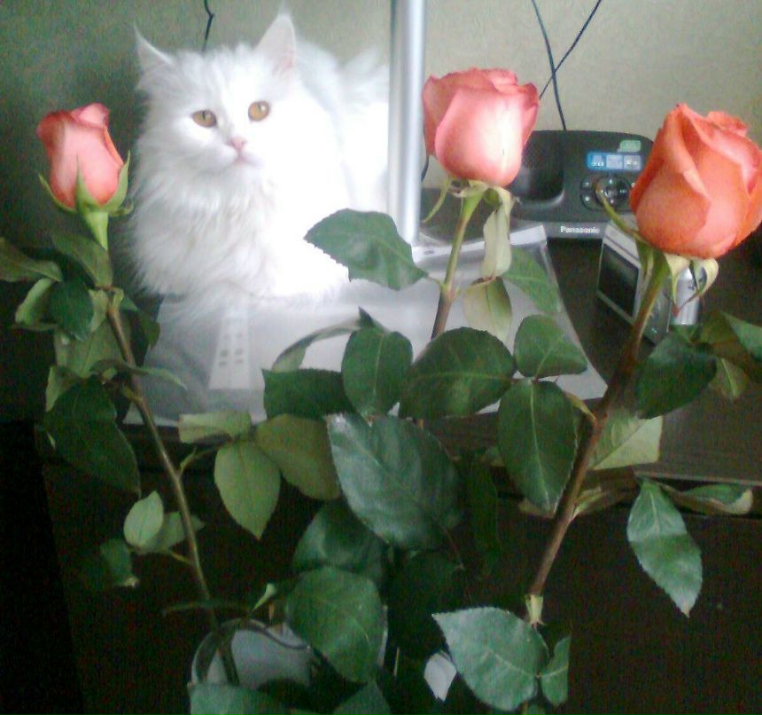 Галина Хафизова | Санкт-Петербург