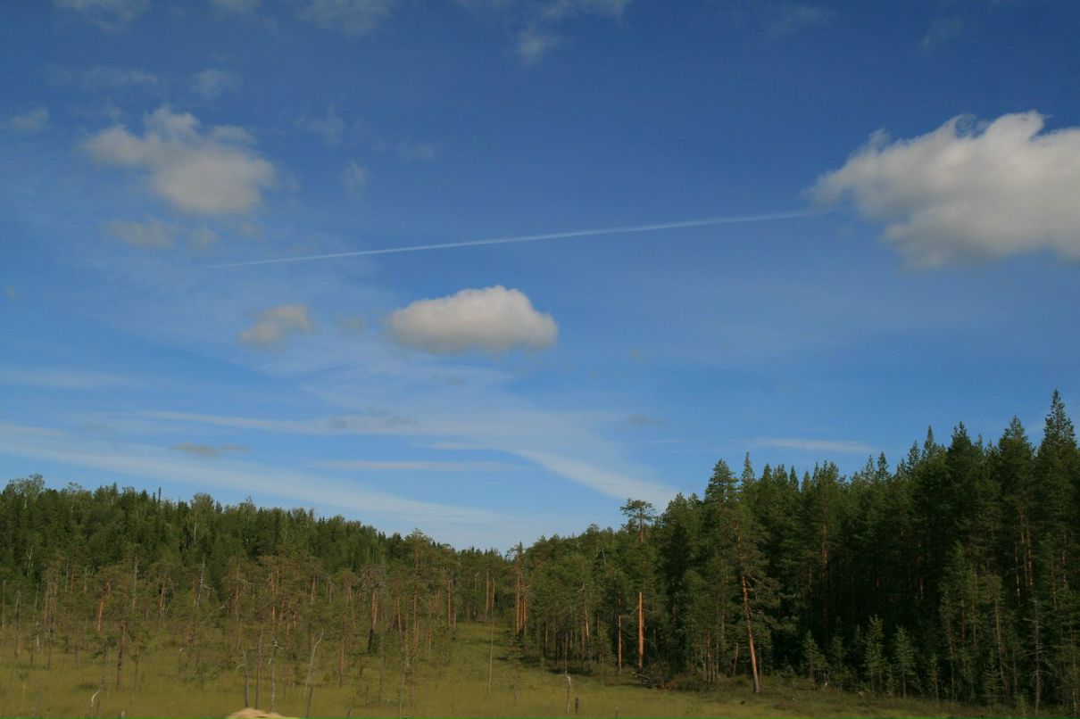 Нюта Кас La Bohémienne | 