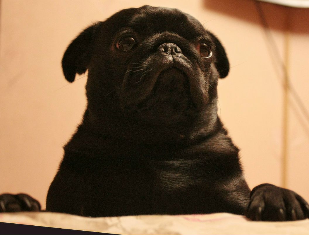 Ирина Белова | Москва