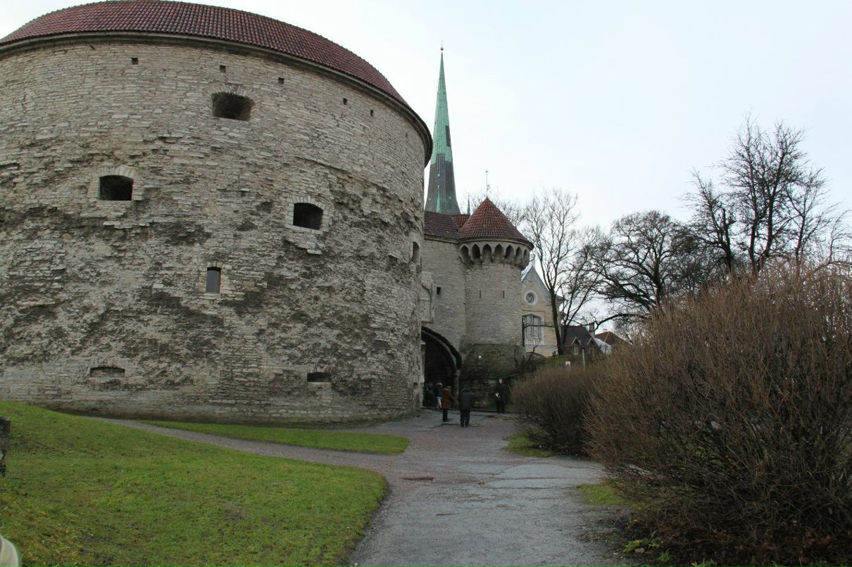 Елена Лисовец | Санкт-Петербург