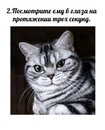 №39 Татьяна Добровольская