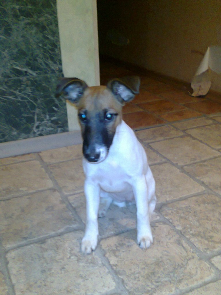 Карен Маркарян | Москва