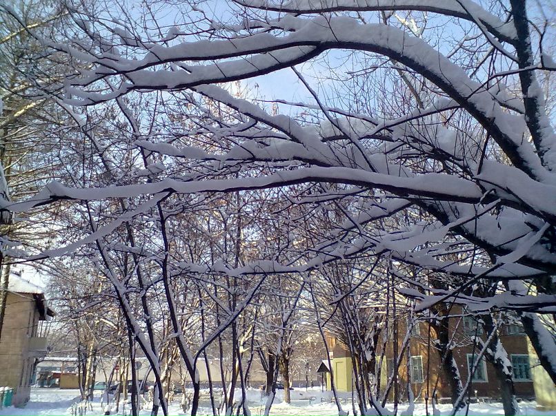 Екатерина Николаевна | Орехово-Зуево