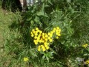 №11 Катя Борисова : профиль, фото, статус - ВКонтакте