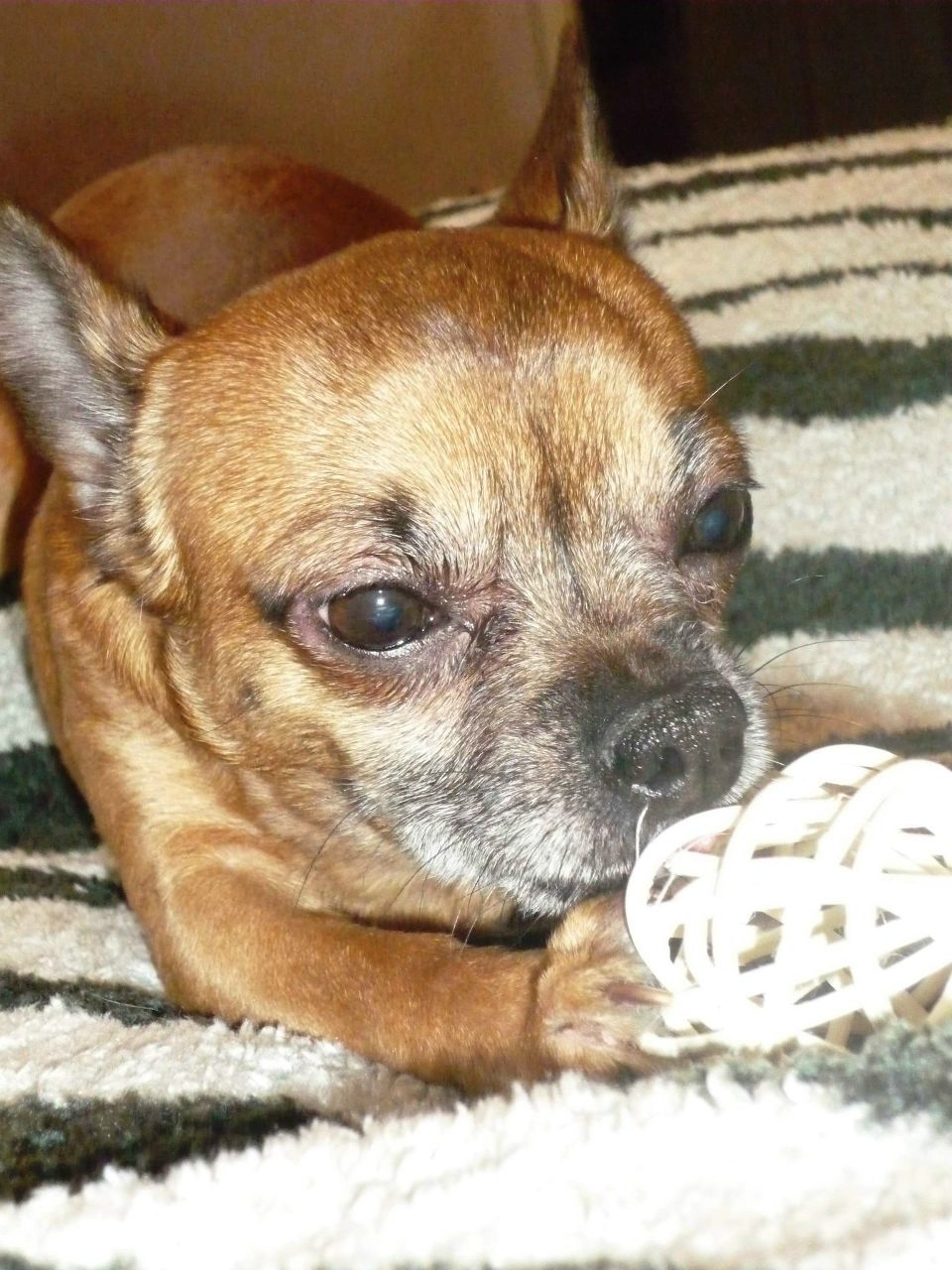 Екатерина Кудрявцева | Москва