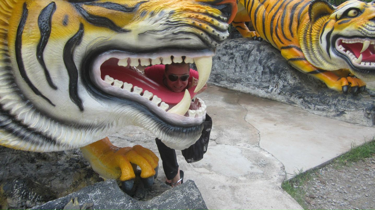 Лида Коппалина | Львов