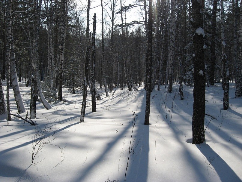 Андрей Бойков Юрьевич | Красноярск