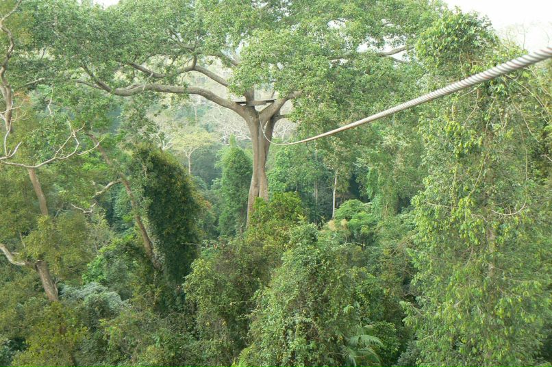 Денис Стуков | Чита