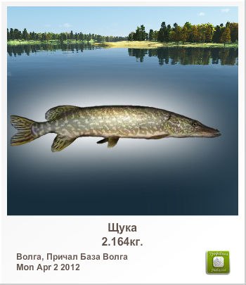 Сергей Лисин | Киев