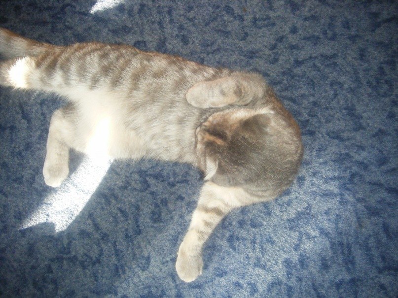 Наташа петушкова-вакарюк | 