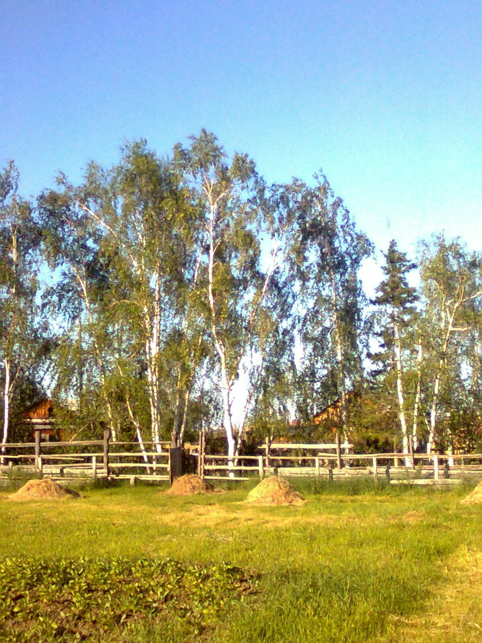 Анна Слепцова | Якутск