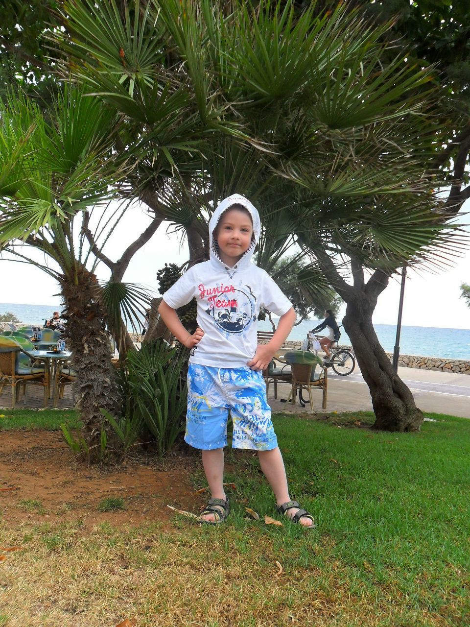 Вилли Симонович | Halver