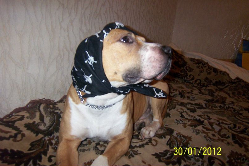 Геннадий Бормотов | Одесса