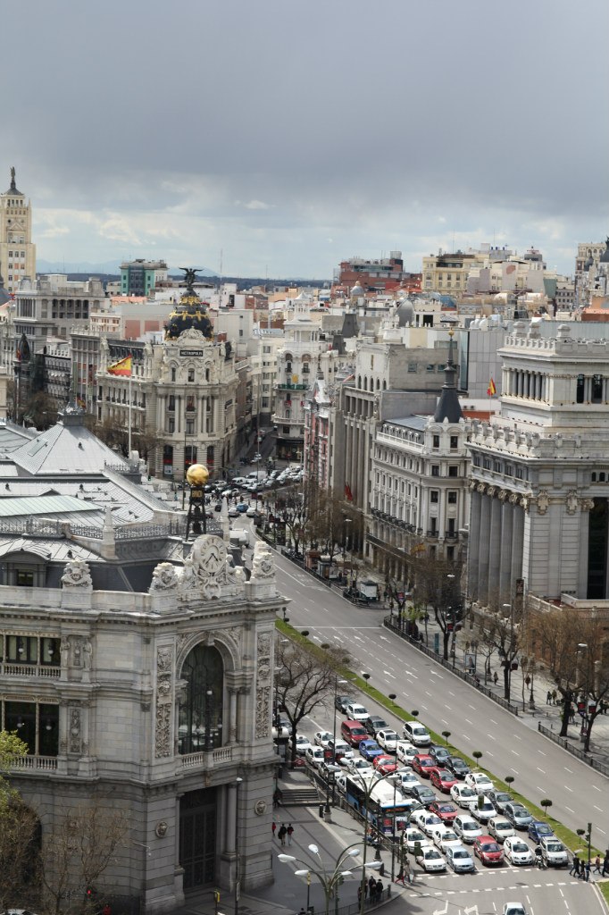 Антон Волков | Хрящи