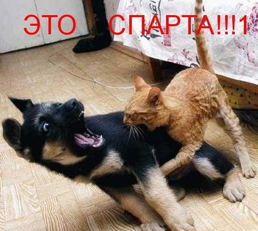 №73, Ефрем Пантелов, 35 лет, Москва №73, Ефрем Пантелов, 35 лет, Москва