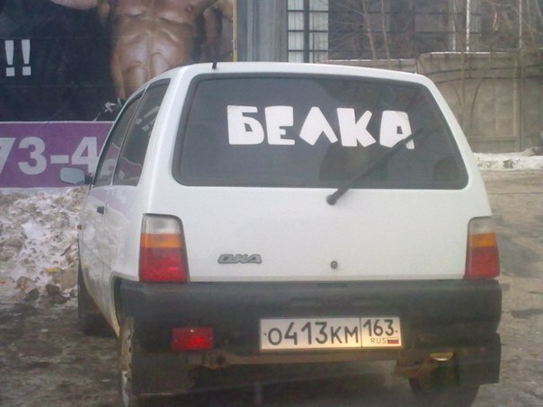 Никита Блохин (-̮̮̃-̃) | Нижний Новгород