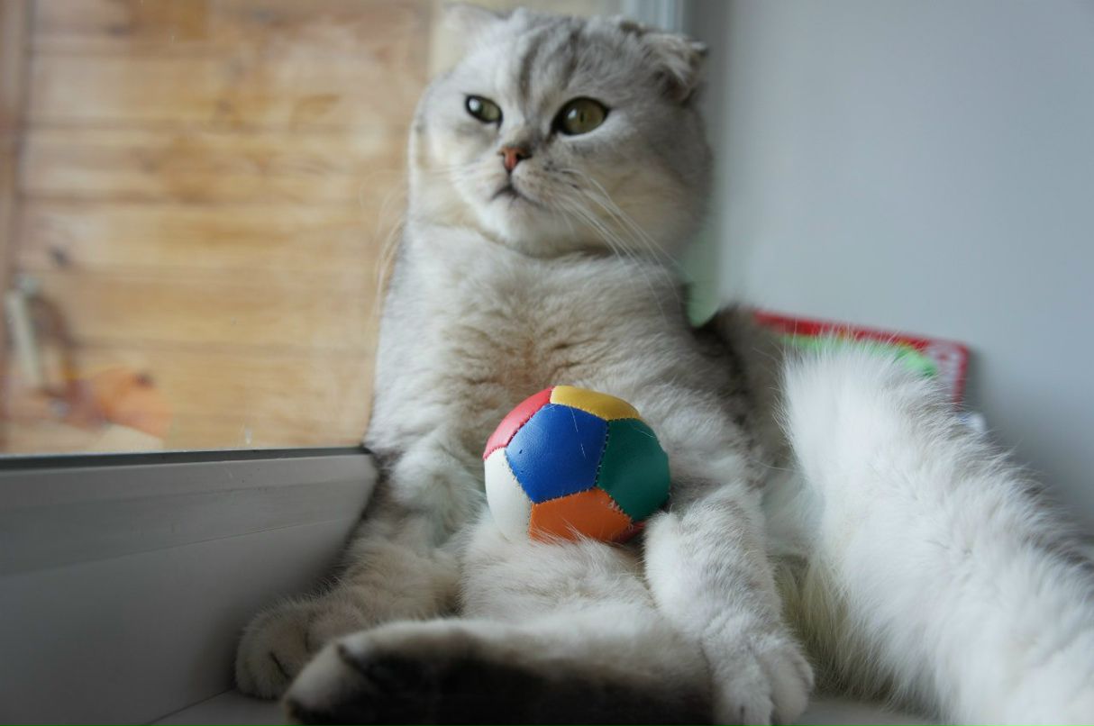 Лидия Иванова | 