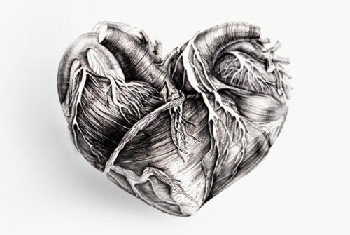 Alex Bulimaga | Chicago