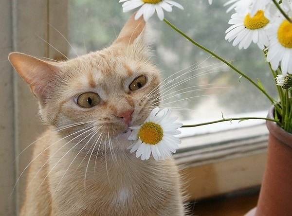 Наталья Лабузова | 