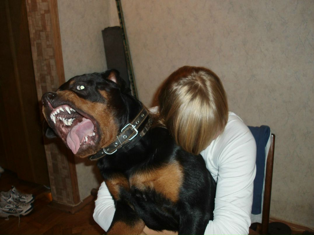 Валентина Катрич | Киев