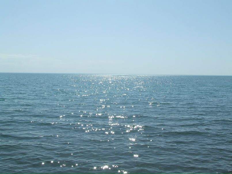 Миша Жуков | Алматы