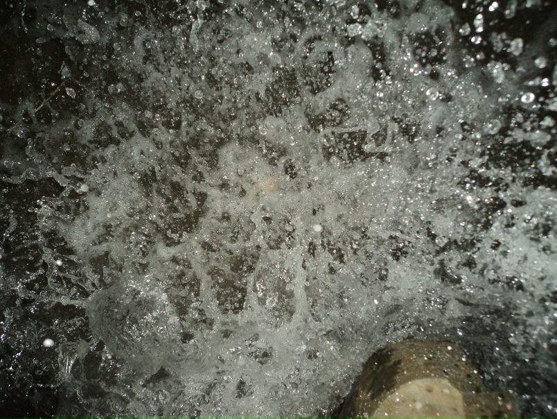 №126, Степан Полюшко, Калининград №126, Степан Полюшко, Калининград