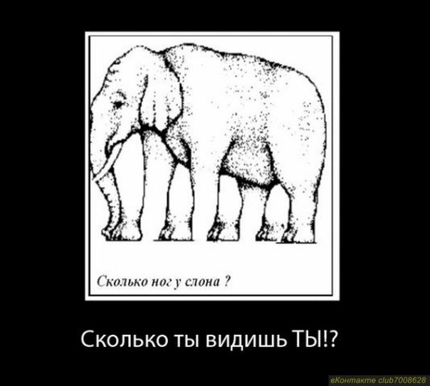 Andrei Solodovnikov | 