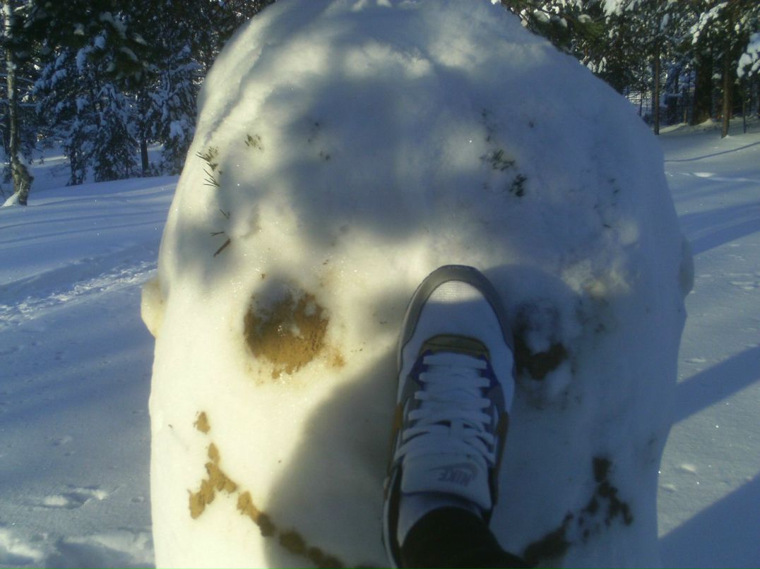 Дмитрий Березин | Санкт-Петербург