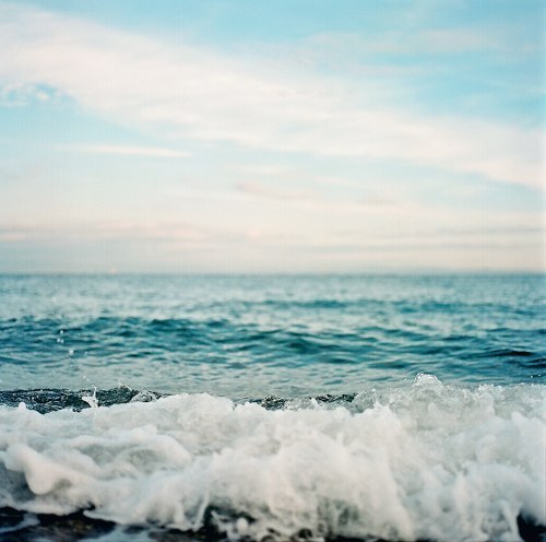 Vasilisa Dandaeva (Vasya) | Одесса