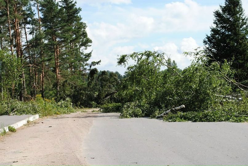 Алексей Селезньов | Санкт-Петербург