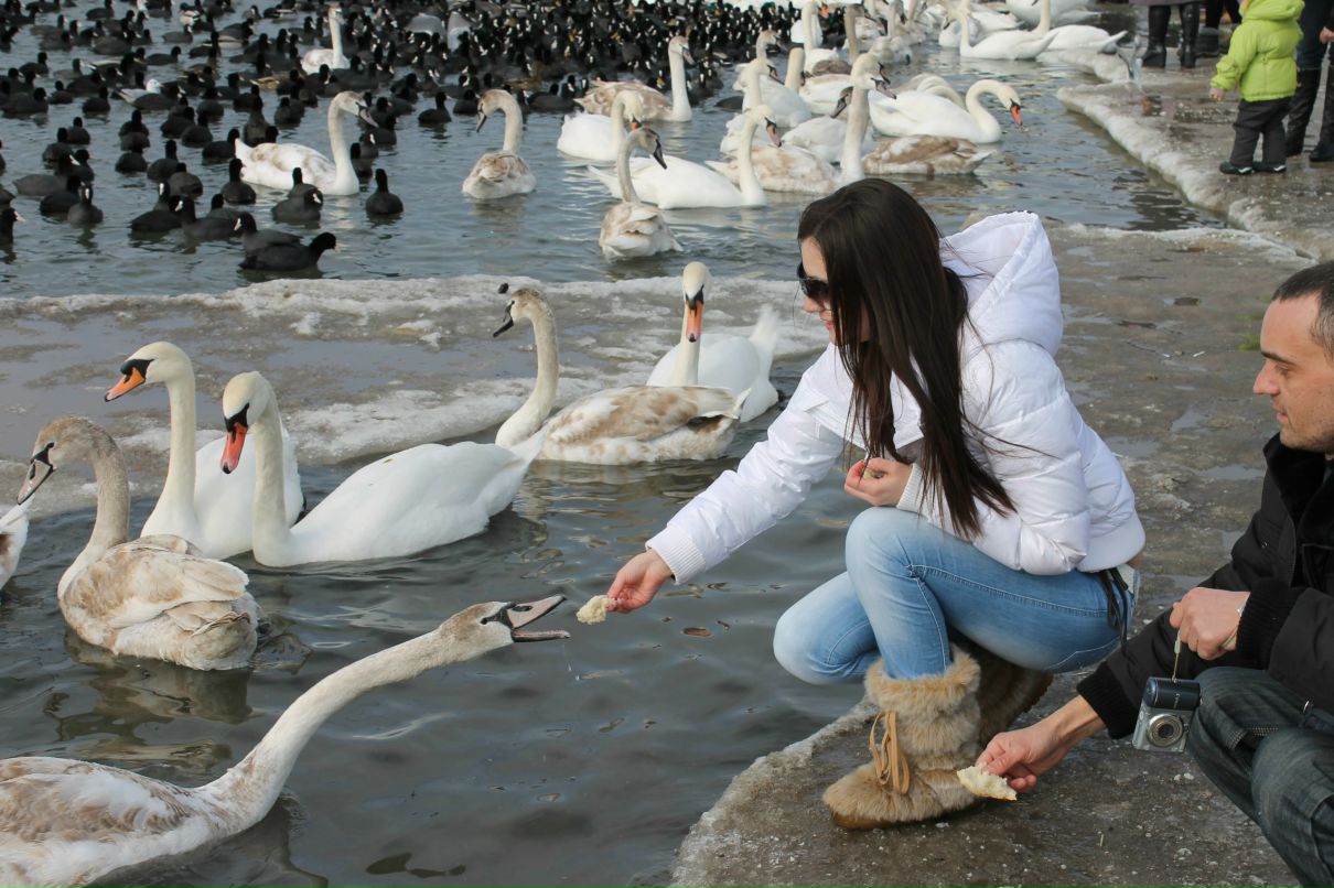 Елена Миленькая | Одесса