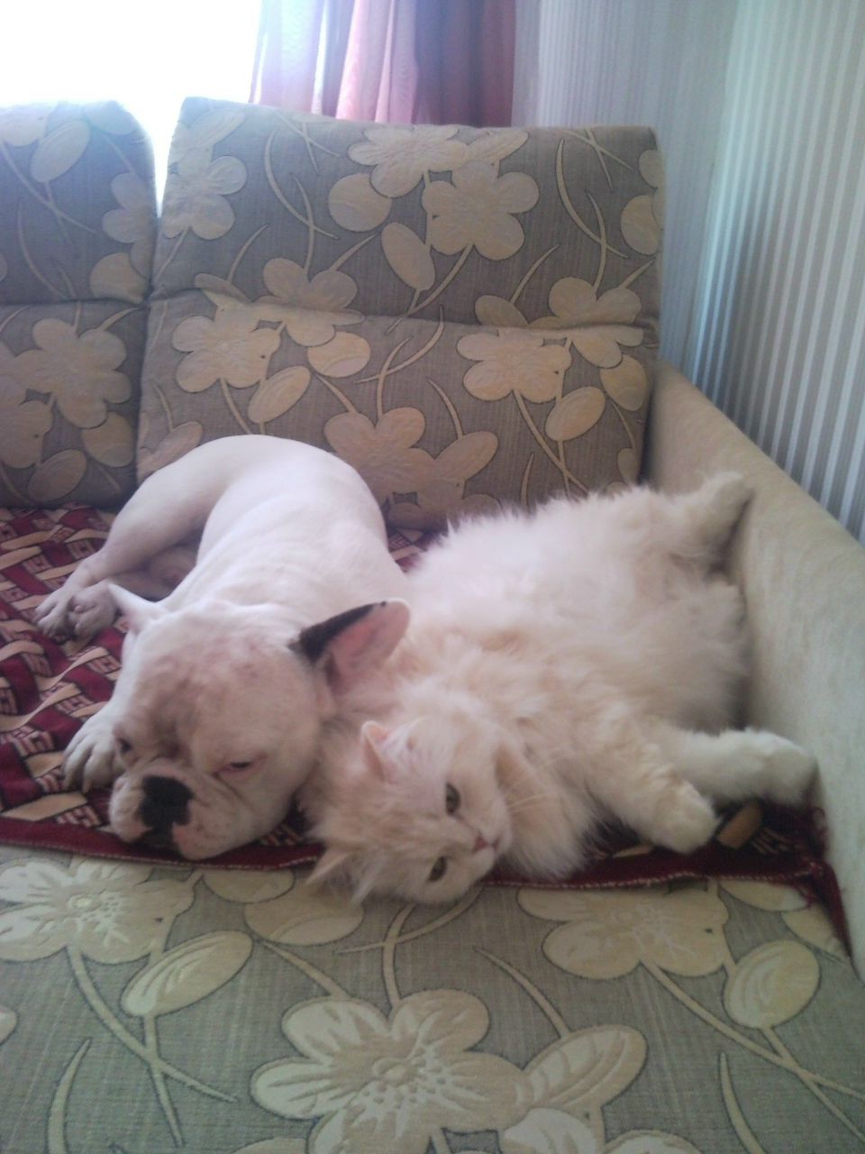 Татьяна Кучерук | 