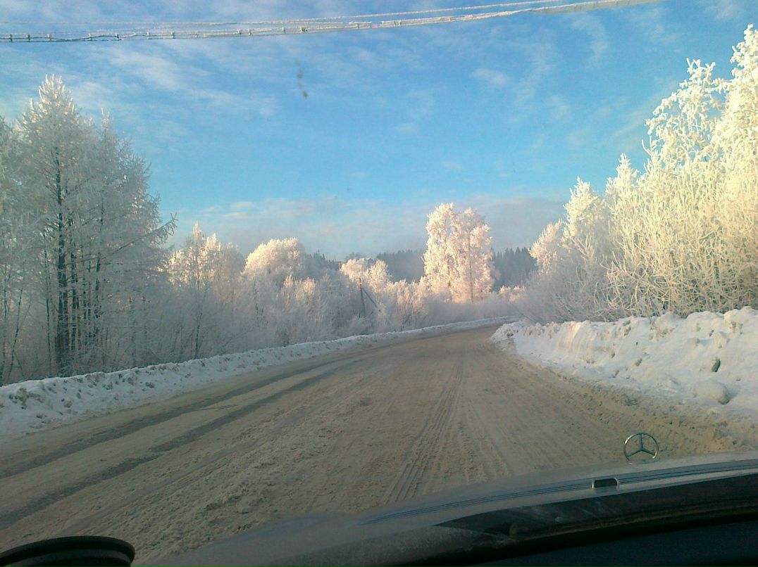 Артем Богданов | Пермь