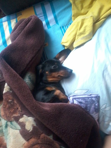 Даня Власов, Россия, Москва