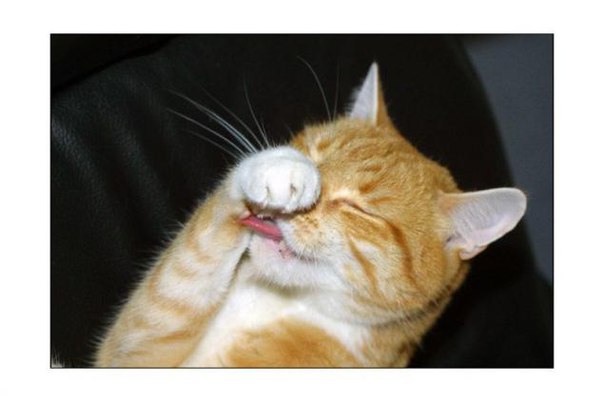 Милена Мальгина, Россия, Москва