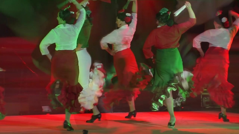 Colombianas Flamencia 2017 г.
