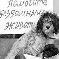 Ольга Яхонтова