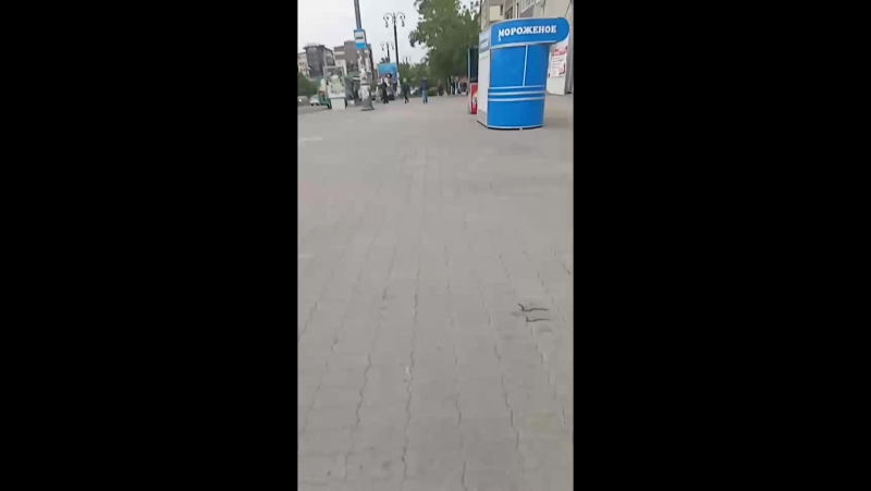 Рената Мильковская