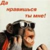 Аватар: Юлия Липатникова