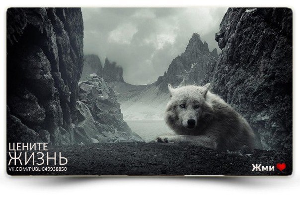 Равиль Шайдуллин, Россия, Самара