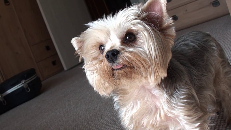 My little