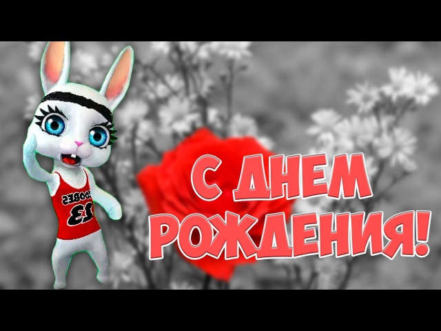 чтобы член с днем рождения поздравление зятю зайка зуби пусть срываются