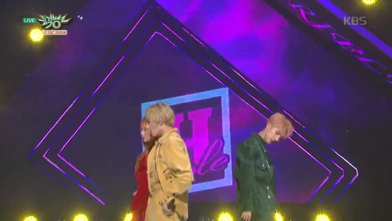 TRIPLE H 바라기