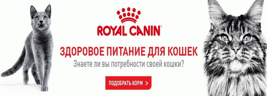Зооленд Интернет Магазин Донецк