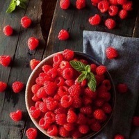 Марина Прокофьева