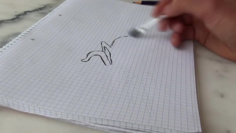 3 D Spider
