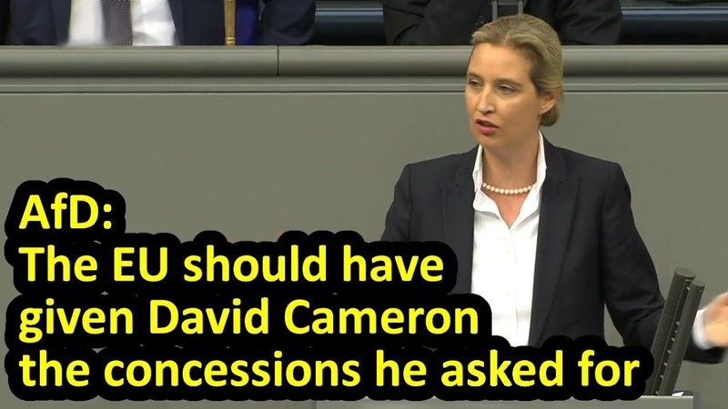 Af D co leader speech on Brexit in Bundestag, Alice Weidel, English subtitles ( March