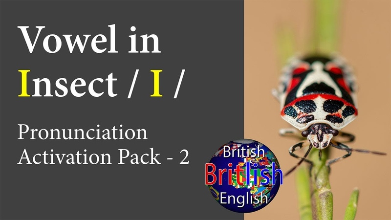 British English Pronunciation: Vowel in Insect,