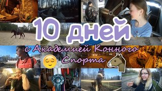VLOG: 10 дней с Академией Конного Спорта/ День 1